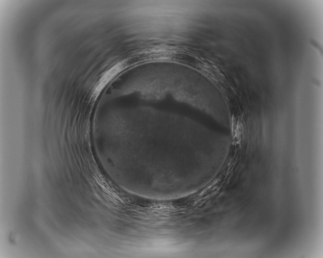 X0000100340099200806051548