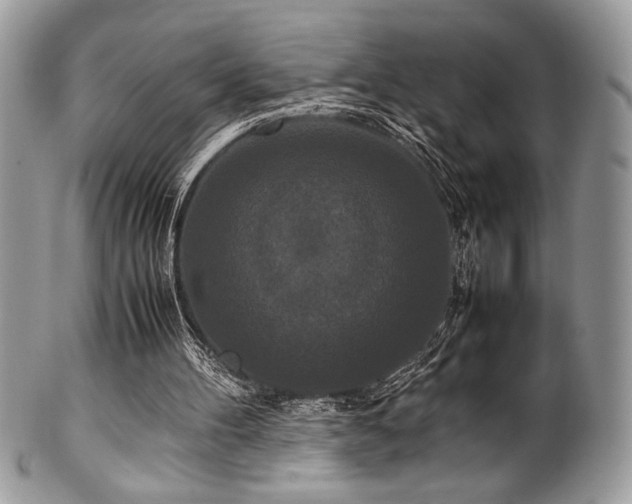 X0000100340100200806051548