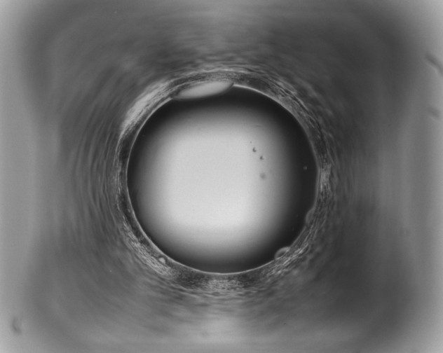 X0000100340101200806051548