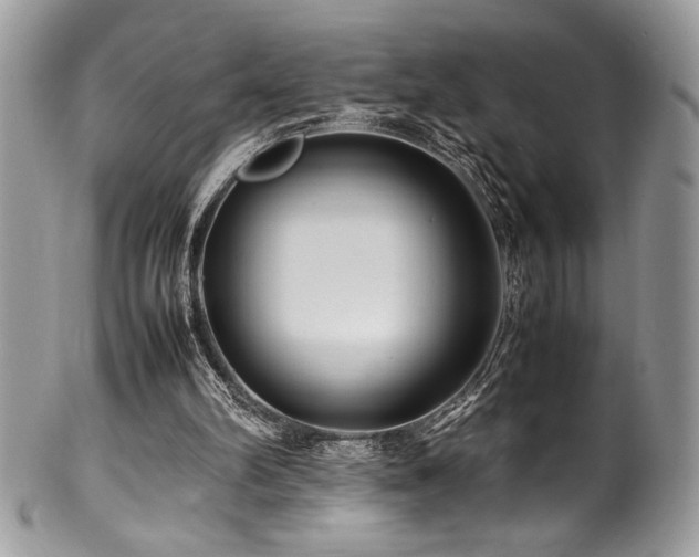 X0000100340102200806051547