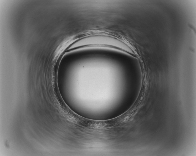 X0000100340103200806051547