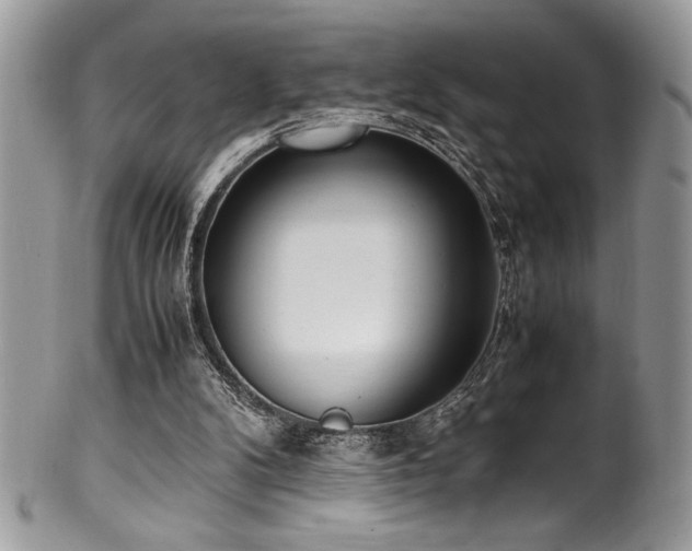 X0000100340104200806051547