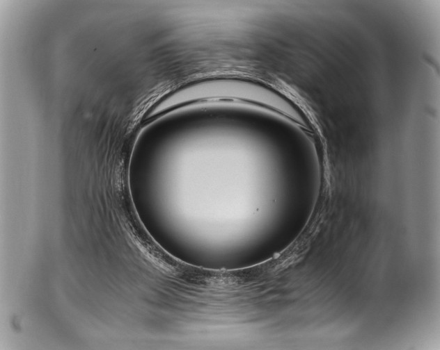 X0000100340105200806051547
