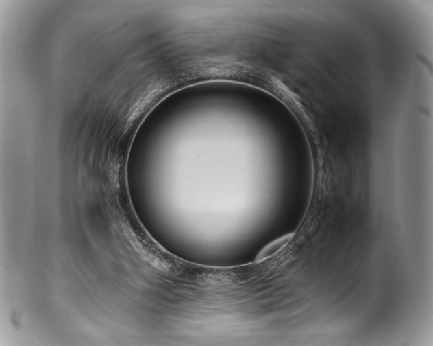 X0000100340106200806051547
