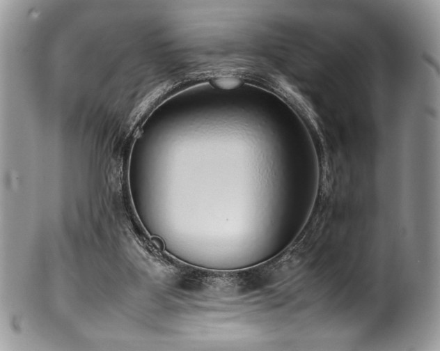 X0000100340107200806051547