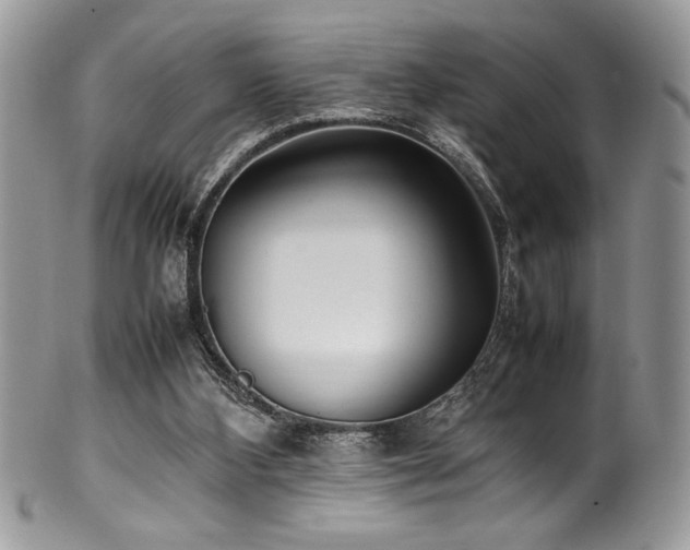 X0000100340108200806051547