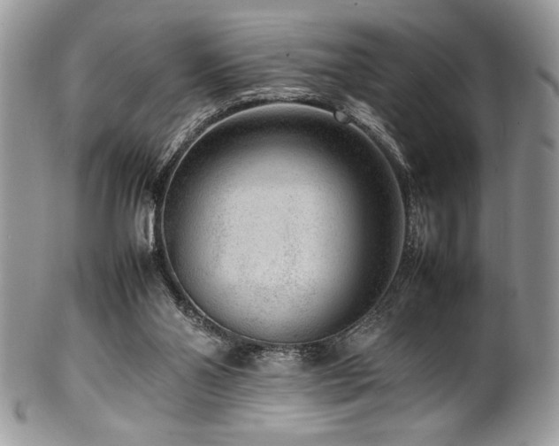 X0000100340110200806051547