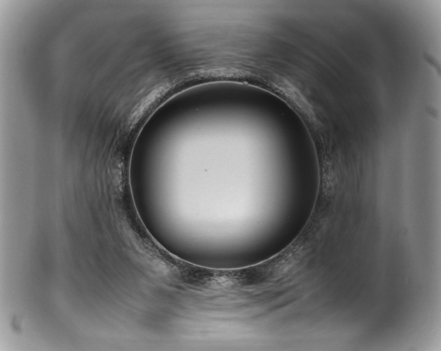 X0000100340111200806051547