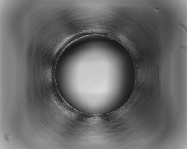 X0000100340112200806051547