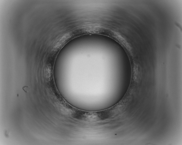 X0000100340113200806051547
