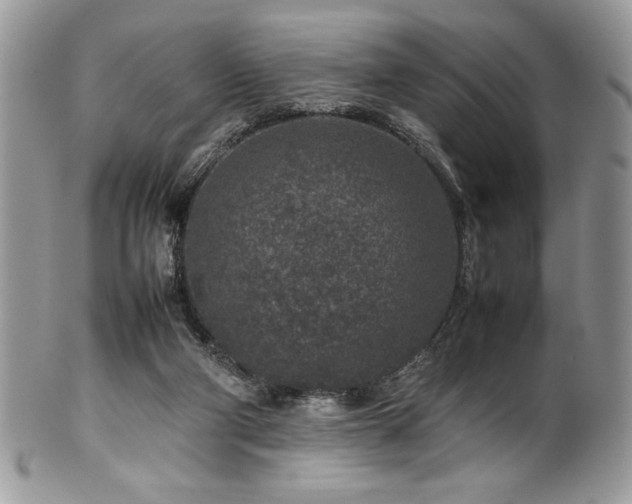 X0000100340114200806051547