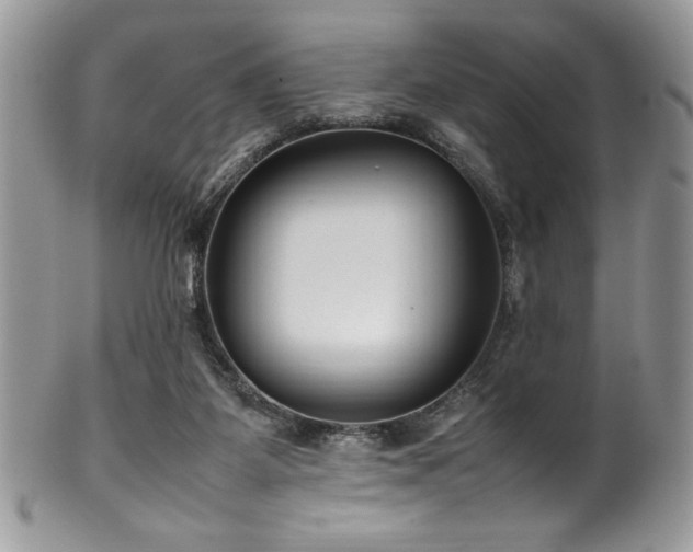 X0000100340115200806051547