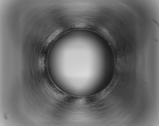 X0000100340116200806051547