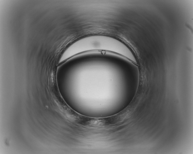 X0000100340117200806051547