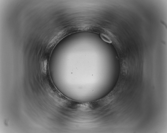 X0000100340118200806051547