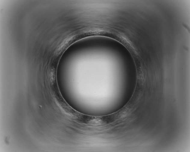 X0000100340119200806051547