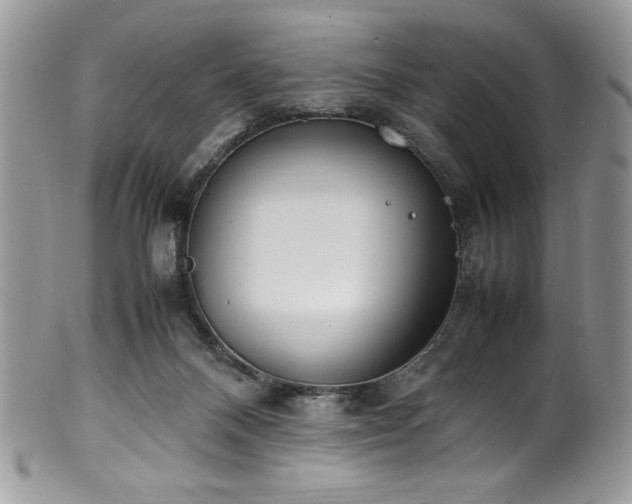 X0000100340120200806051547