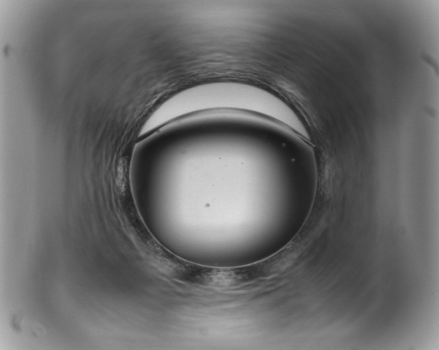 X0000100340121200806051547