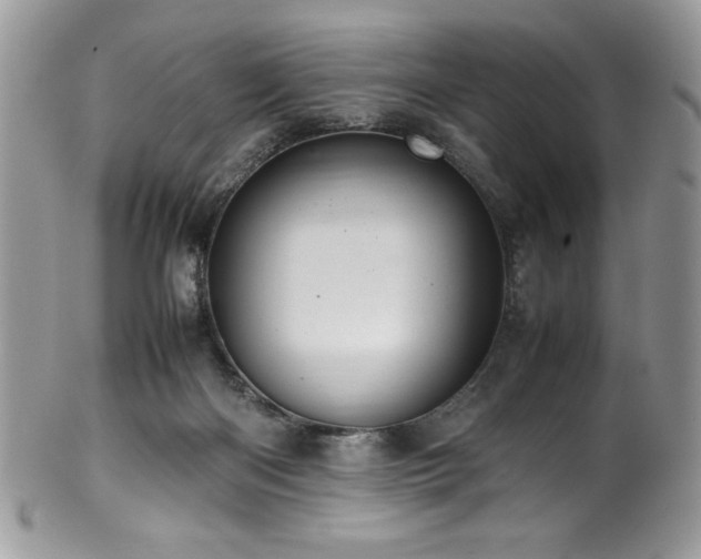 X0000100340122200806051547