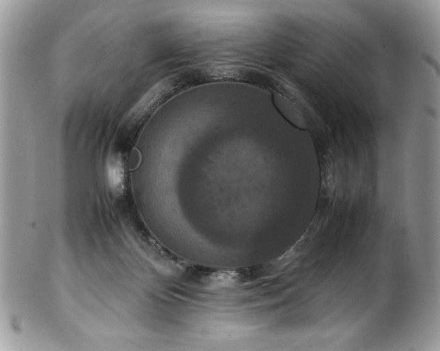 X0000100340124200806051547