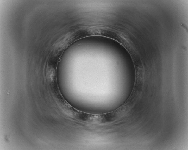 X0000100340125200806051547