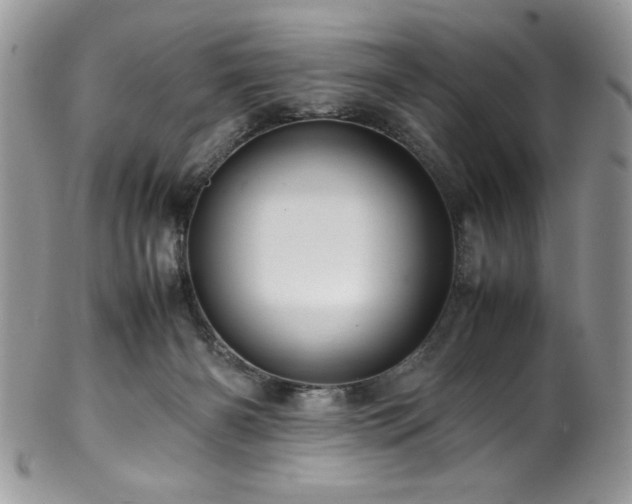 X0000100340126200806051547