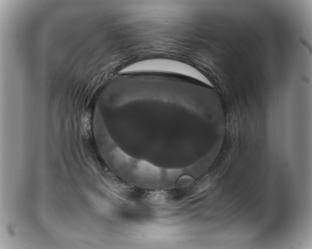 X0000100340127200806051547