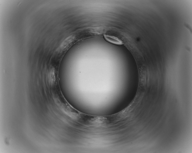 X0000100340128200806051547