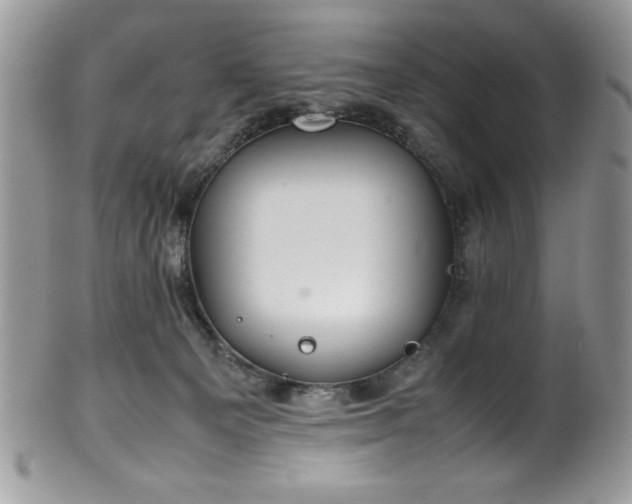 X0000100340129200806051547