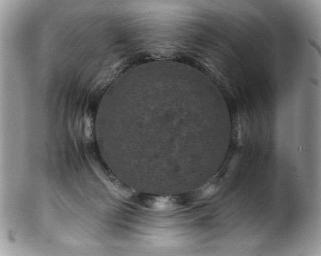 X0000100340130200806051547