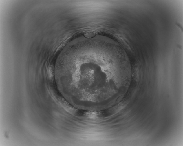 X0000100340131200806051547