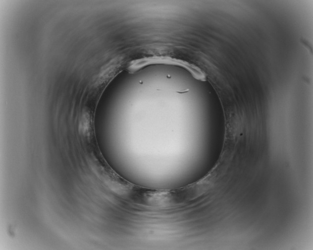 X0000100340132200806051547