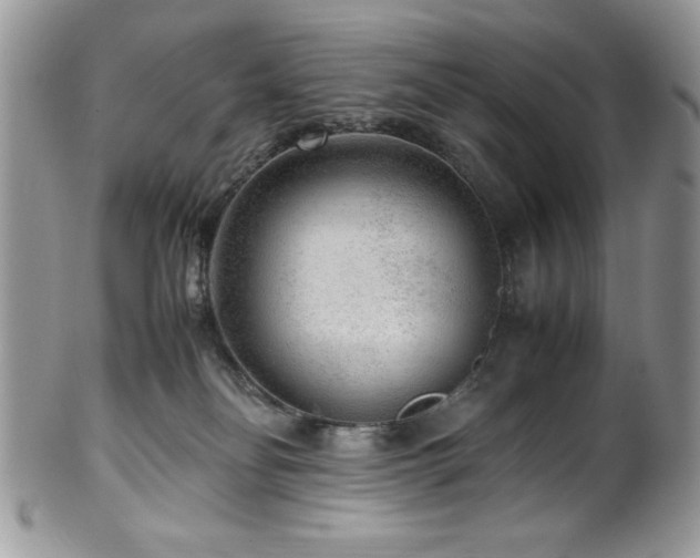 X0000100340134200806051547