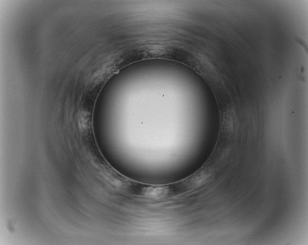X0000100340135200806051547