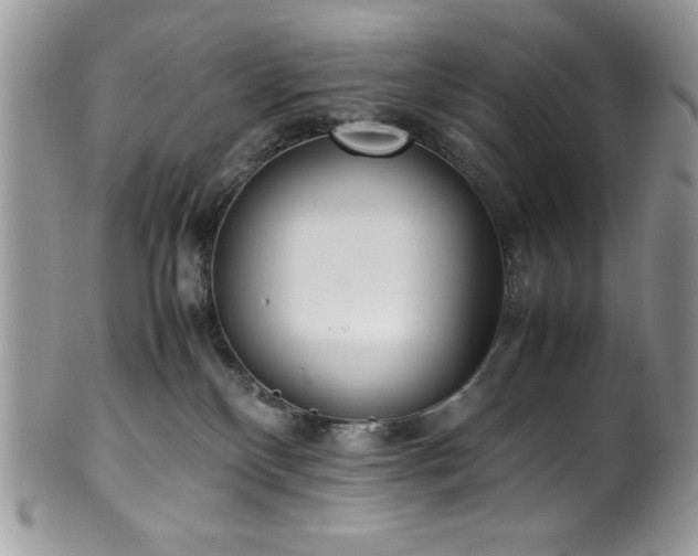 X0000100340136200806051547