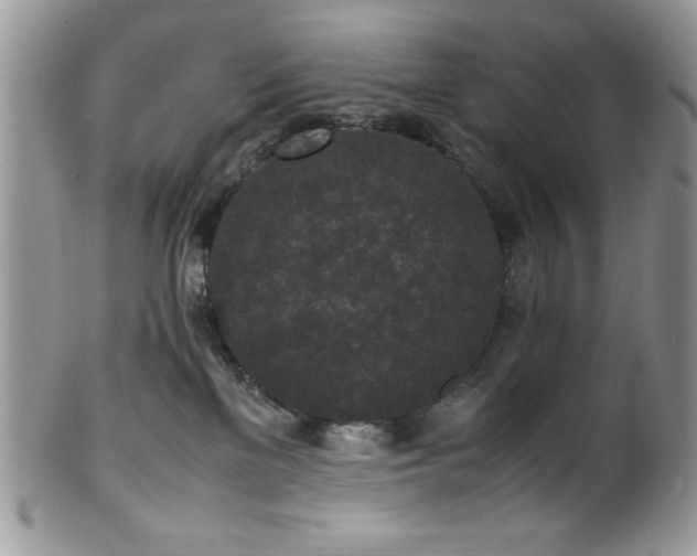 X0000100340137200806051547