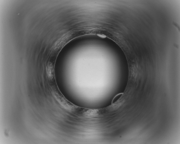 X0000100340138200806051547