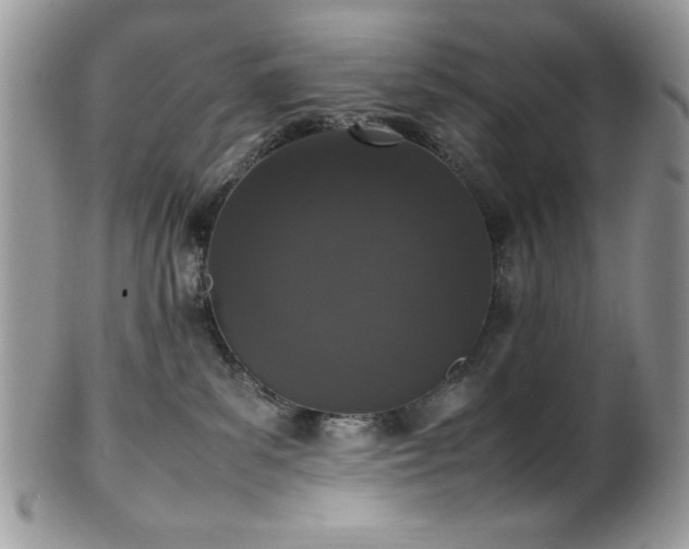 X0000100340139200806051547