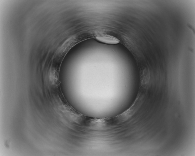 X0000100340140200806051547