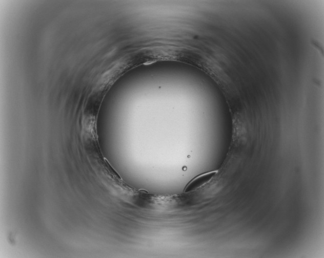 X0000100340141200806051547