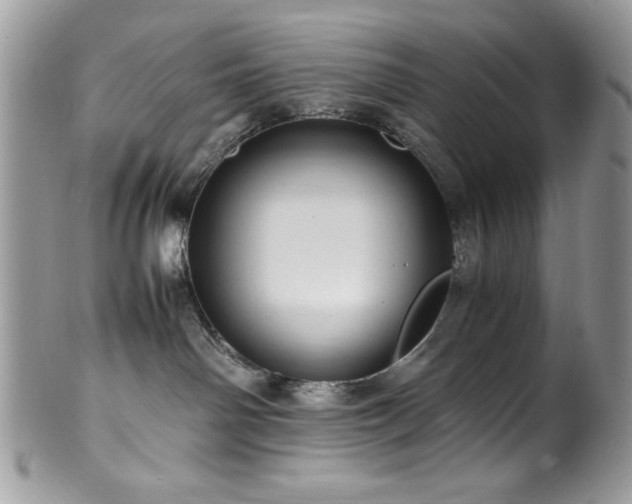 X0000100340142200806051547
