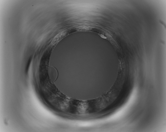 X0000100340143200806051547