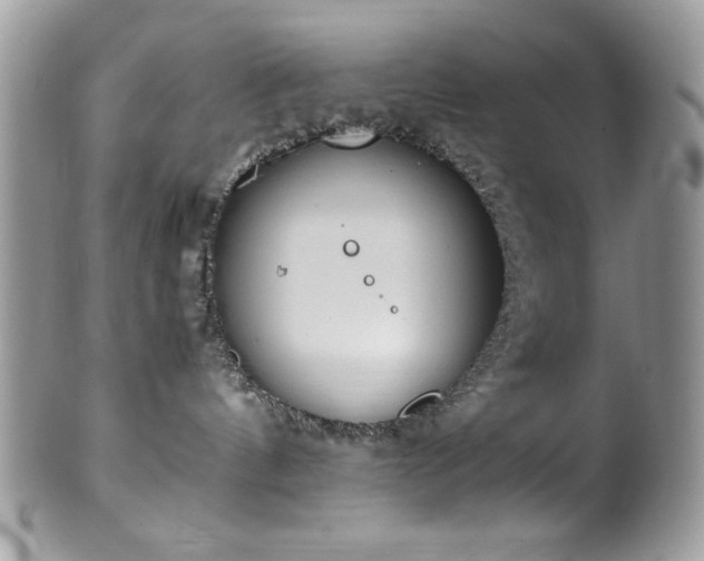 X0000100340144200806051547