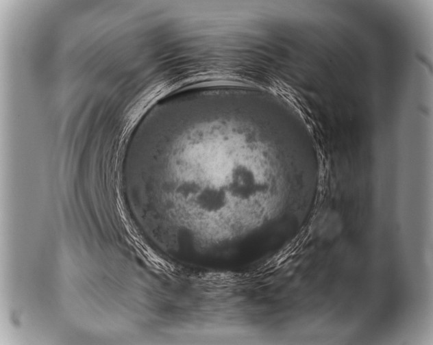 X0000100340145200806051546