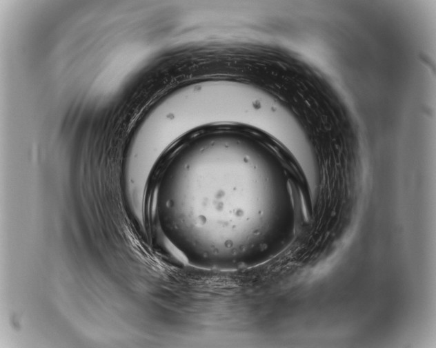 X0000100340146200806051546