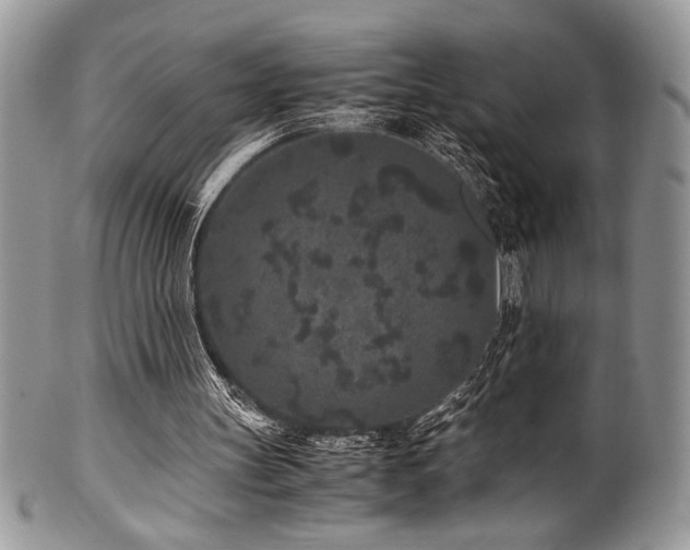X0000100340147200806051546