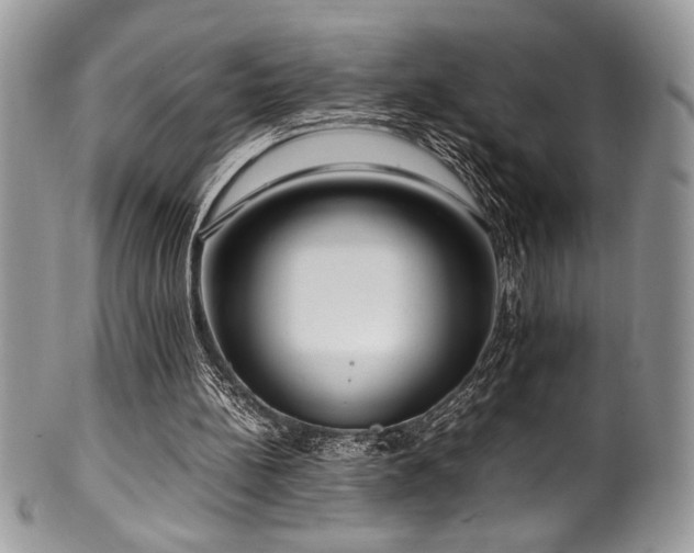 X0000100340148200806051546