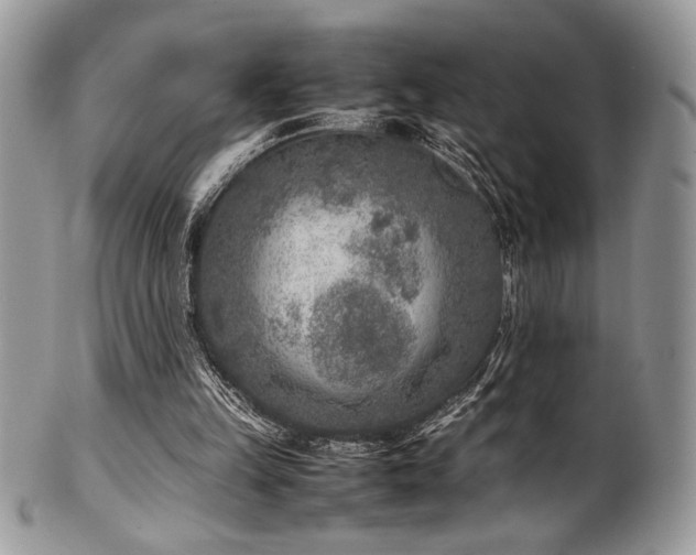 X0000100340149200806051546