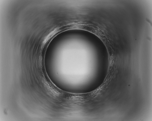 X0000100340150200806051546