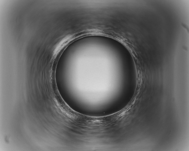 X0000100340151200806051546
